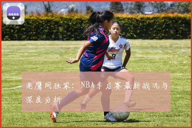 老鹰网独家：NBA季后赛最新战况与深度分析