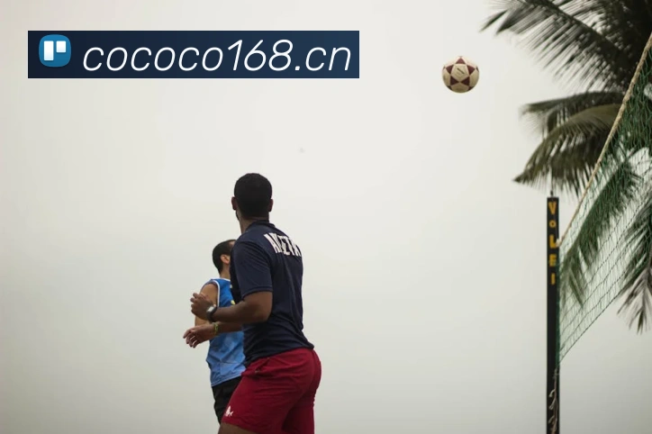 多媒体互动体验